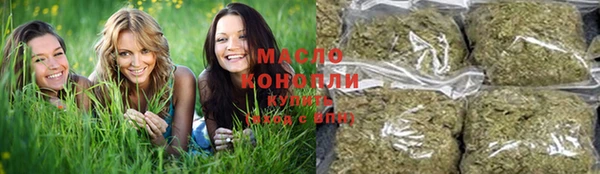 гидропоника Бородино