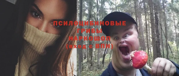 сатива Богданович